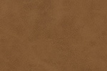 ơ